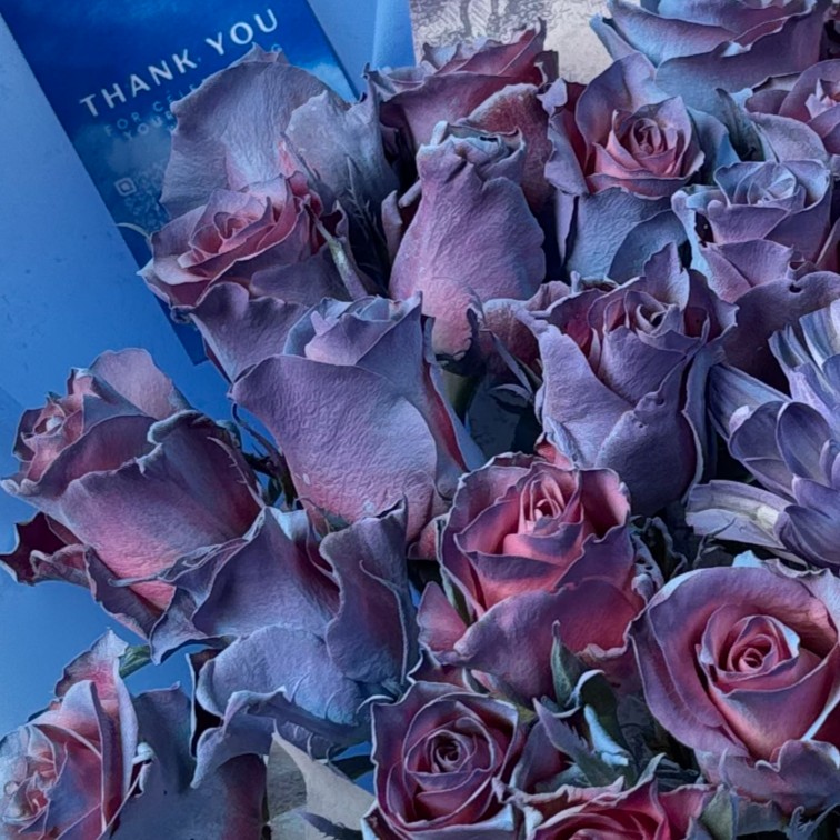 Roses