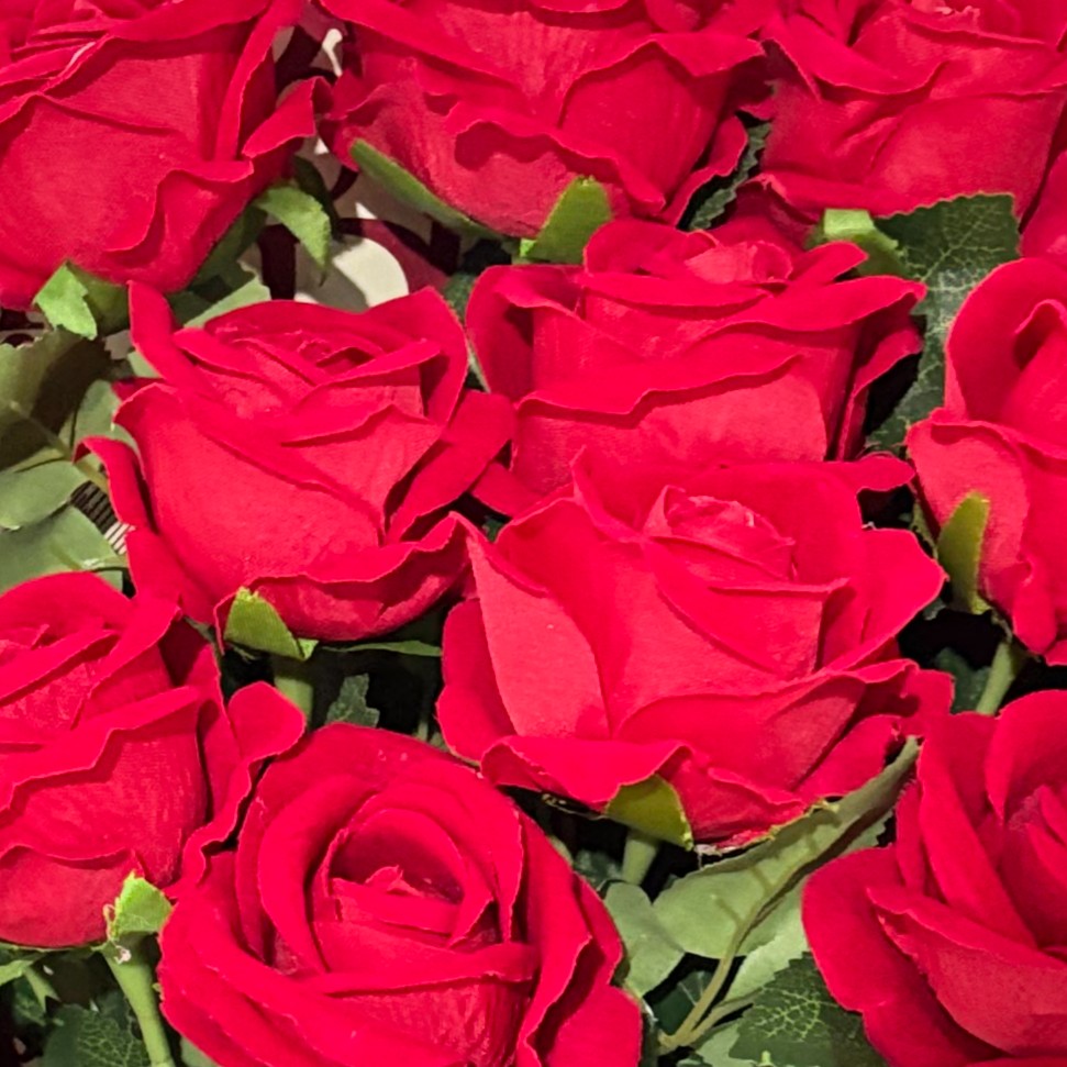 Roses