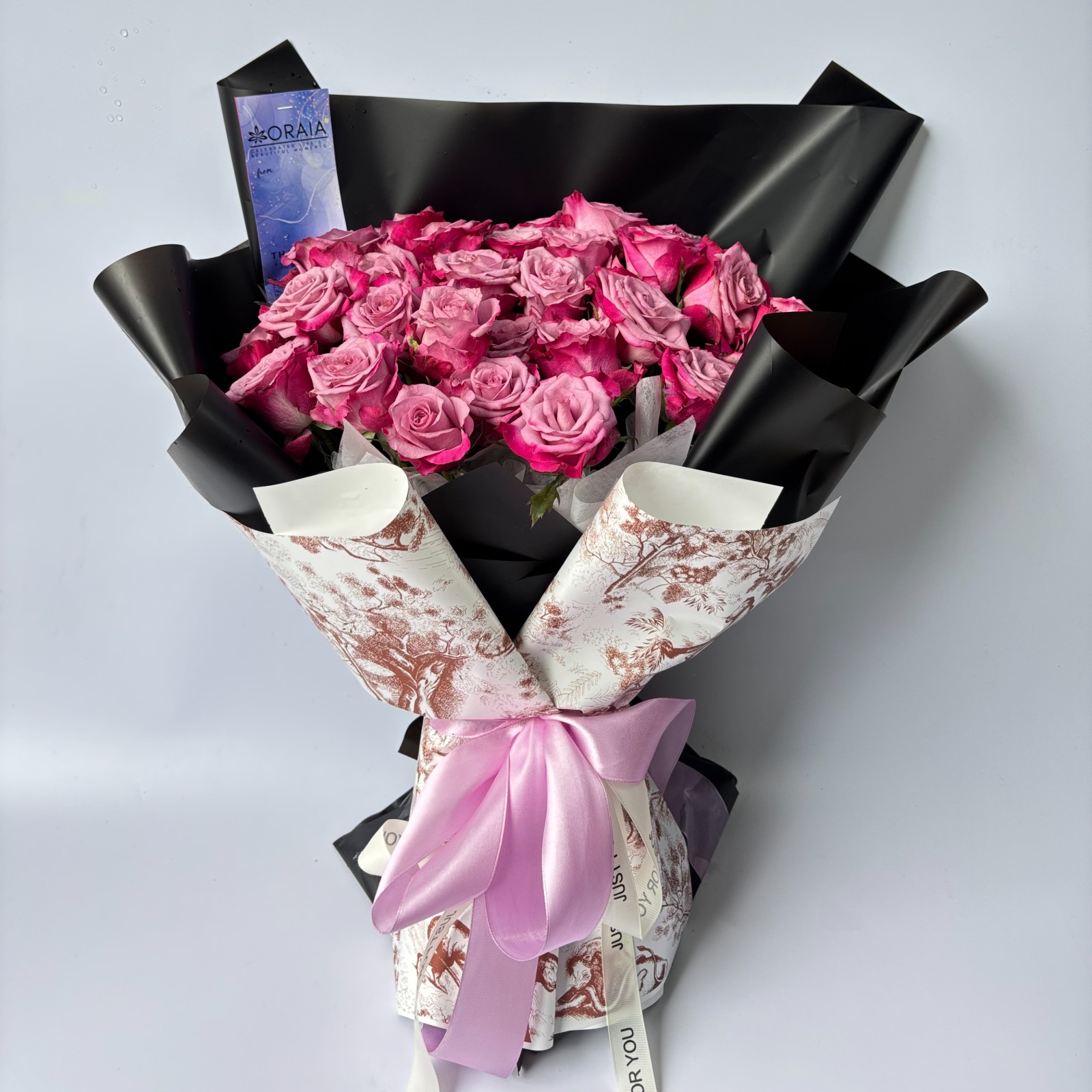 Isabella: Roses, Fuschia Pink