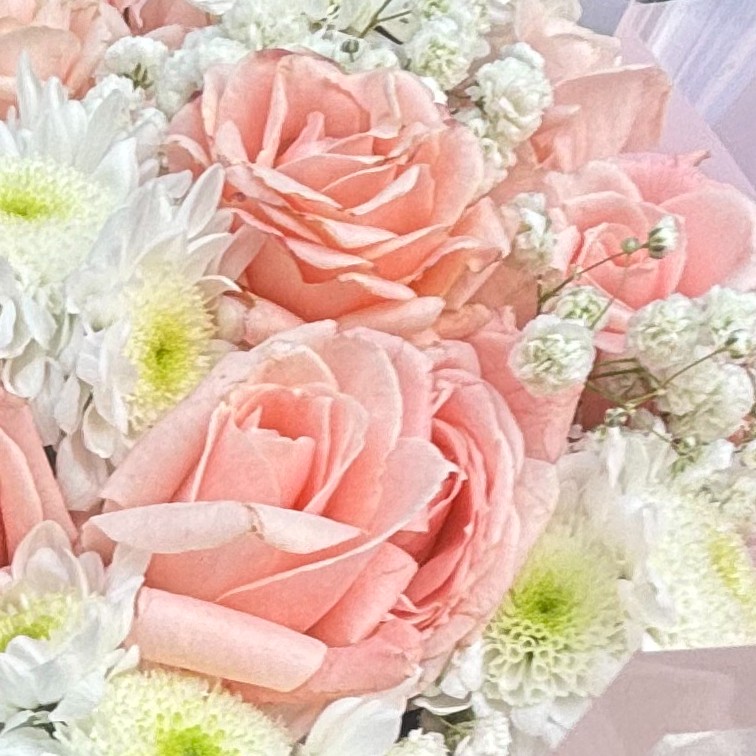 Roses